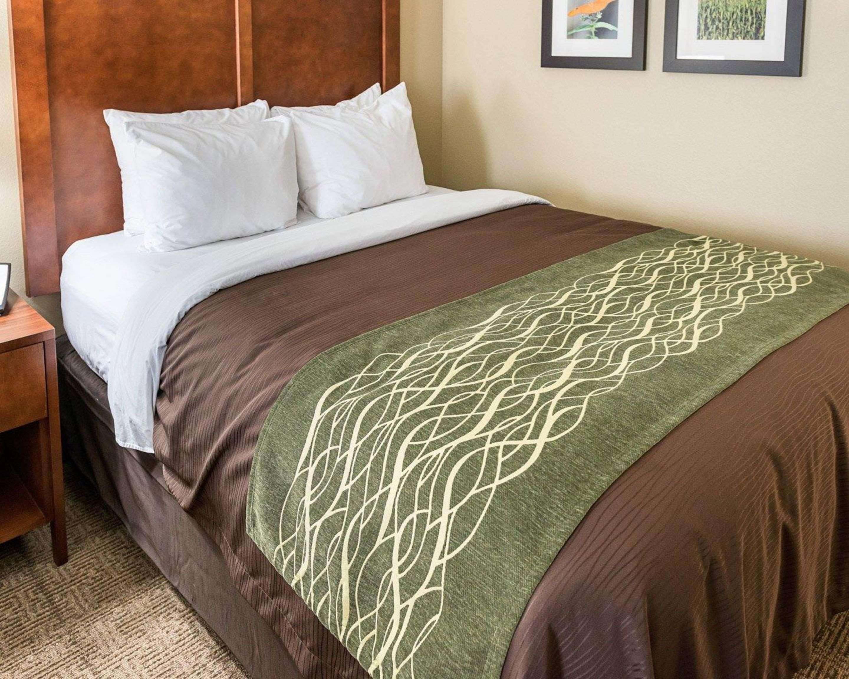 Comfort Inn & Suites West - Medical Center Ρότσεστερ Εξωτερικό φωτογραφία